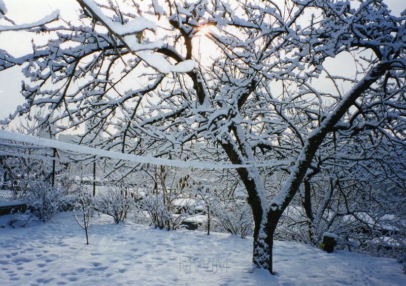 KKE 4694.jpg - Fot. Pejzaż zimowy. Nasz ogród, Olsztyn, II 1996 r.